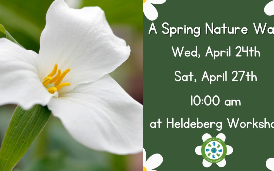 Earth Care: A Spring Nature Walk at Heldeberg Workshop