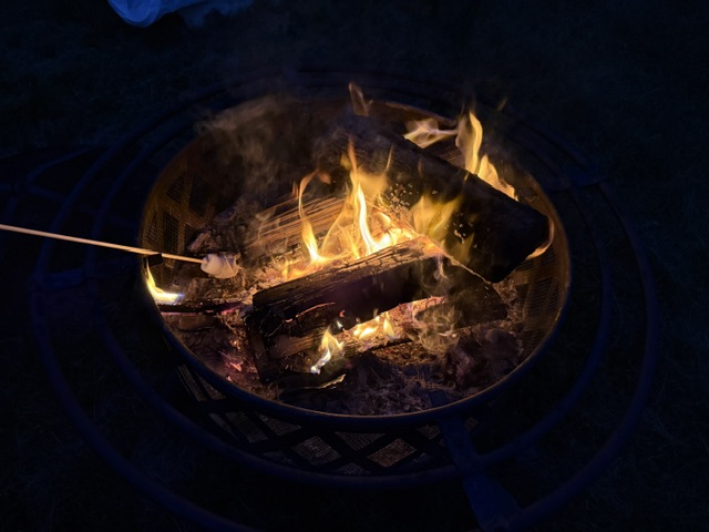 Image2