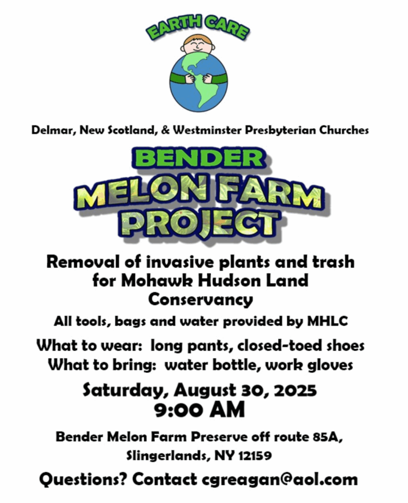 Bender melon farm project
