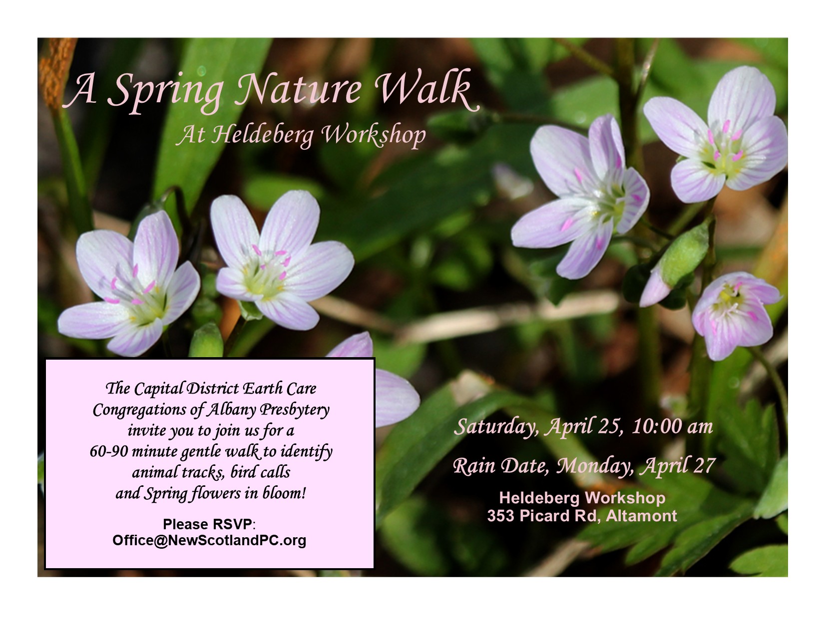 2026 Spring Nature Walk
